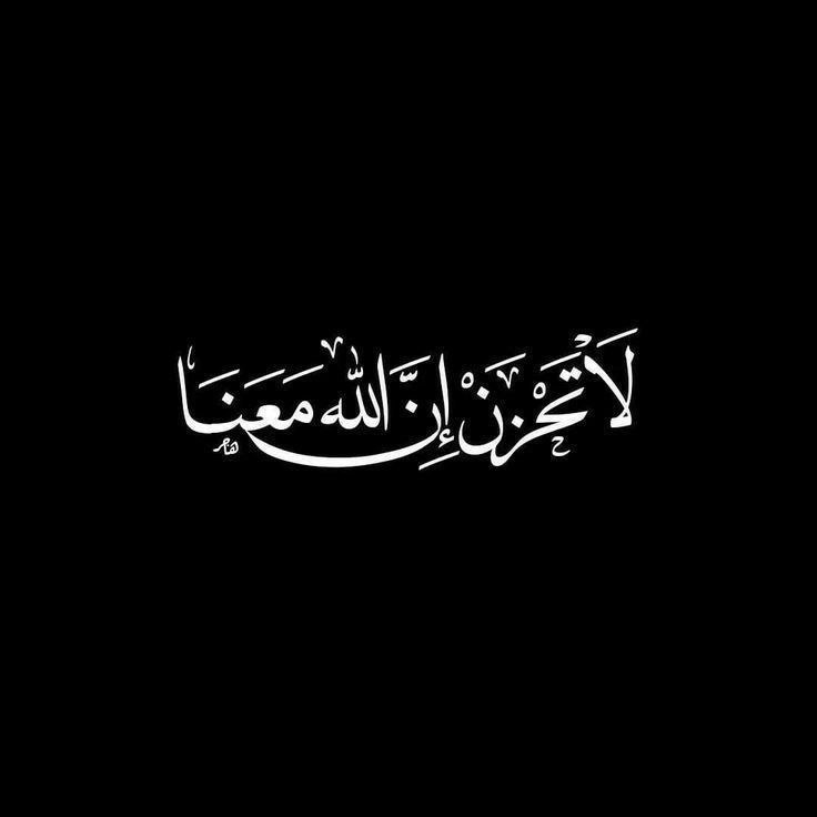 AHMED ELSYED